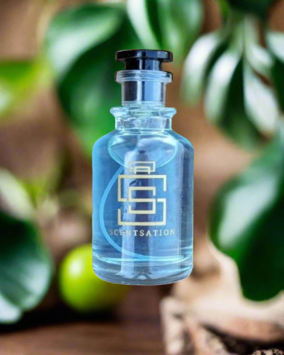 Essence Of Paris impressed by Versace Eros